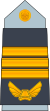 17. AAF-LG.svg