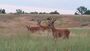 Cherry Creek State Park.jpg