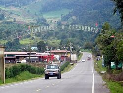 Image-Cerro punta PARA WIKI.jpg