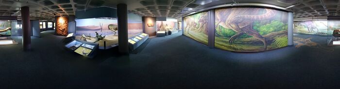 Iziko Exhibition Ethnology Photosphere.jpg