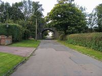 Lane heading under railway bridge - geograph.org.uk - 1051727.jpg