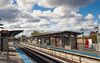 Paulina CTA 20101003.jpg