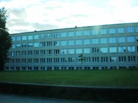 Vabalninkas002.JPG