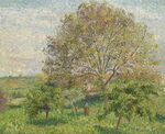 Camille Pissarro - Le Grand Noyer au printemps, Eragny (PD 1031).jpg