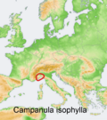 Distribution map Campanula isophylla.png
