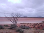 Lake Gairdner.jpg