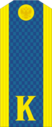RAF AF-ABTr R1Kursant 2010.png