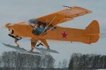 "Gadfly" (5534084638).jpg