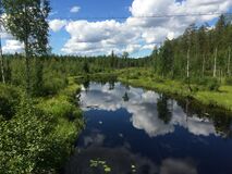 Kuva joksmust vaste