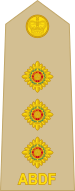 10.RABDF-CAPT.svg