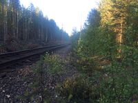 13 км (перегон рзд 24 км - Ледмозеро 2).jpg