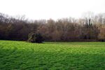 Field near Little Hemingfold - geograph.org.uk - 1053920.jpg