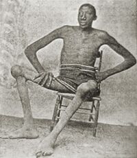 John-Rogan.jpg