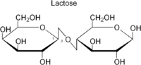 Lactose(lac).png