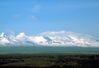 MountWrangell.jpg
