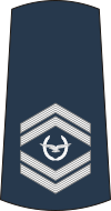 07-Serbian Air Force-WO2.svg