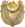 ANP.png