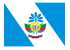 Bandeira vila pavao.svg