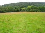 Dallington Forest - geograph.org.uk - 505869.jpg
