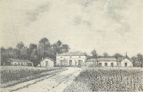 Domaine de Chevalier - Cocks&Féret 1898.jpg