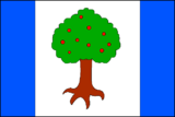 Флаг