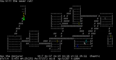NethackScreenshot.gif