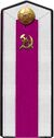 Red Army cadet quartermaster school 1943 shoulder straps.jpg