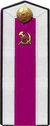 Red Army cadet quartermaster school 1943 shoulder straps.jpg