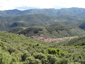 Солана-дель-Пино