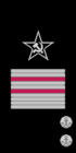 Генерал-лейтенант