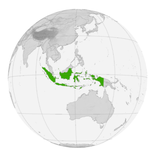 Индонезия на карте мира