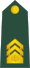 06-Slovenian Army-SFC.svg