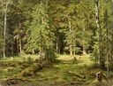 1880er Ivan Shishkin Wald anagoria.JPG