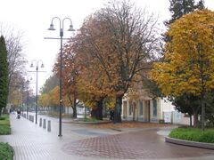 Brīvības iela (Ogre).jpg