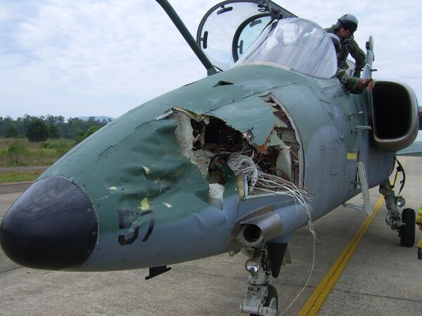 https://cdn.ruwiki.ru/commonswiki/files/thumb/1/19/Colisão_com_ave_-_aeronave_AMX1.JPG/600px-Colisão_com_ave_-_aeronave_AMX1.JPG