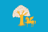 Флаг