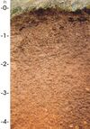 Cross-section of four feet of reddish-brown soil