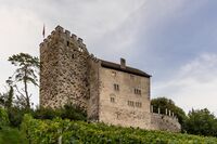 KGS 117 Habsburg 1.jpg
