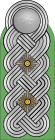 ORPO-Oberst.svg