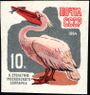 The Soviet Union 1964 CPA 3045 stamp (Centenary of Moscow Zoo. Eastern white pelican or rosy pelican (Pelecanus onocrotalus)).jpg