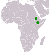 Ethiopian Wolf-area.png