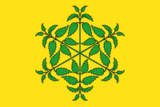 Флаг
