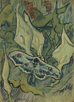 Grote nachtpauwoog - s0189V1962 - Van Gogh Museum.jpg