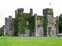 Lisheen Castle, Templemore, Tipperary (1) (geograph 6557090).jpg