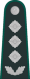 Lithuania-BorderGuard-OF-5.png