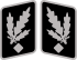 SS-Gruppenführer Collar Rank.svg