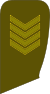 10-Lithuania Army-STSG (SPC).svg