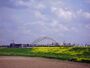 Bridge Alblasserwaard.jpg