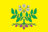 Флаг