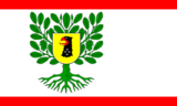 Флаг